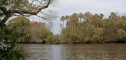 Video Moonraker James Bond 007 Películas Internacional Multimedia 