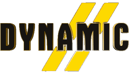 Dynamic Skiing - Equipment Sports 