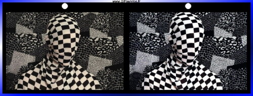 Matrice-Matrice Stéreoscopique Wiggle avec Matrice 3d Effekte Humor -  Fun 