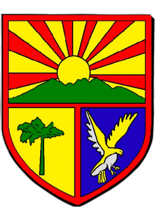 Blazon-Blazon LA PLAINE DES PALMISTES 974 Departments - Cities France Flags 