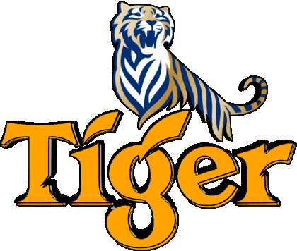 Tiger Singapur Bier Getränke 