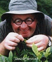 People Serie 01 People - Vip Morphing - Parece Humor - Fun 