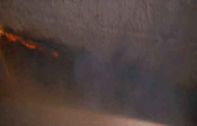 Video 02 The Road Warrior Mad Max V International Multimedia 