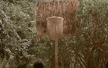 Airplane Airplane V International Multimedia 