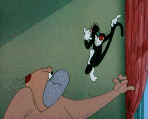 The Counterfeit Cat Tex Avery Dibujos animados TV Peliculas Multimedia 