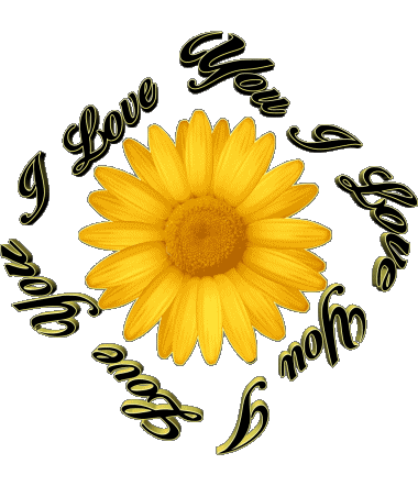 02 I Love You Anglais Messages 