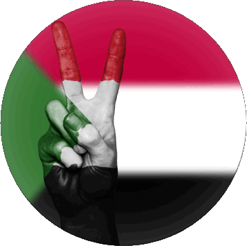 Round Sudan Africa Flags 