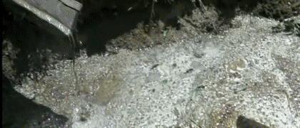 Video First blood PART 2 Rambo V International Multimedia 