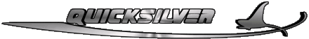 Quicksilver Barche - Costruttore Trasporto 