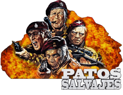 Logo Spagnolo I 4 dell'Oca Selvaggia Film Internazionale Multimedia 