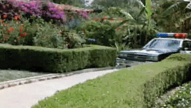 01 Video Beverly Hills Cop V International Multimedia 