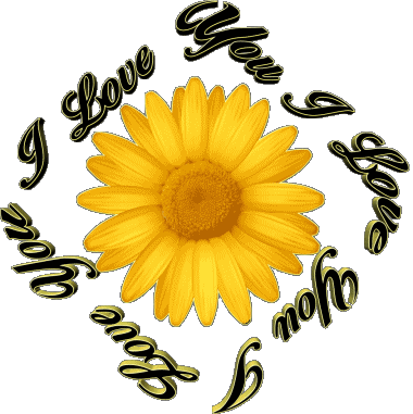 02 I Love You Englisch Nachrichten 