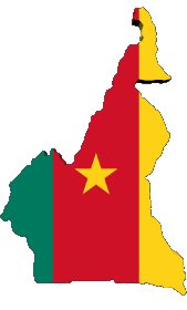 Divers Cameroun Afrique Drapeaux 