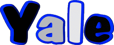 Yale Y MANN - UK - USA - IRL - AUS - NZ Vorname 