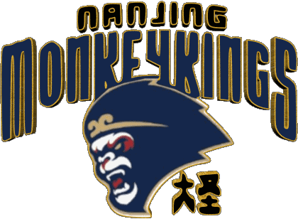 Nanjing Monkey King Chine Basketball Sports 