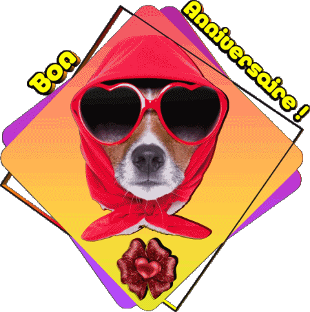 012 Animaux Bon Anniversaire French Messages 