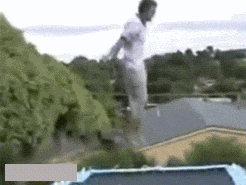 Serie 02 Chiens Animaux Humour - Fun 