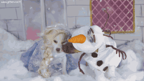 03 Dogs Animals Humor -  Fun 