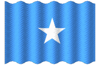 Ondulation Somalie Afrique Drapeaux 