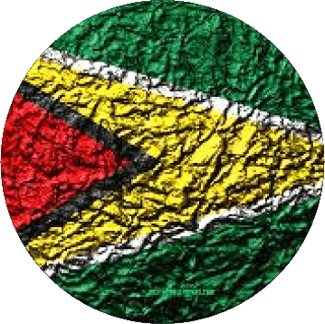 Runde Guyana Amerika Fahnen 