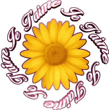 03 Je T'aime Francés Mensajes 