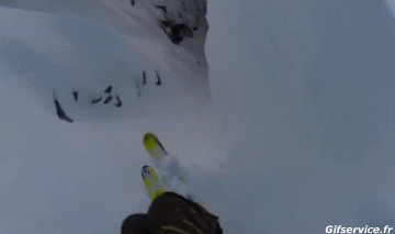 Free Ride Fun Win Ski Sports Humor -  Fun 