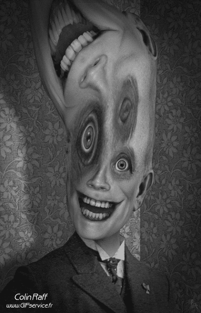 Colin Raff GIF Artista Humor - Fun 