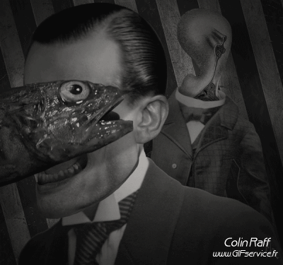 Colin Raff GIF Artista Umorismo -  Fun 