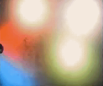 Video Serie 03 Loeki de Leeuw Cartoni animati TV Film Multimedia 