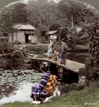 Stéreoscopique Wiggle 3D Effets Humour - Fun 