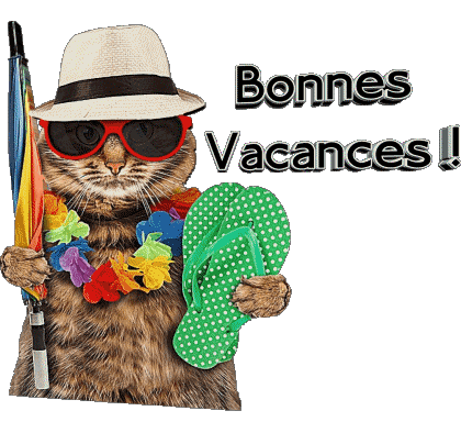 30 Transparent Background Bonnes Vacances French Messages 