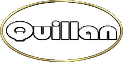 Quillan Q MASCULINE -  UK - USA - IRL - AUS - NZ First Names 