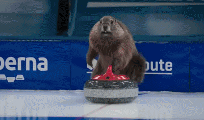Curling-Curling Les Marmottes Sports France 3 Canales - TV Francia Multimedia 