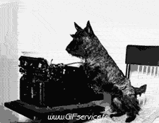 02 Dogs Animals Humor -  Fun 