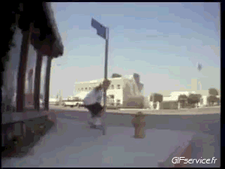 Free Style Fun - Win 02 Skateboard Sport Humor -  Fun 