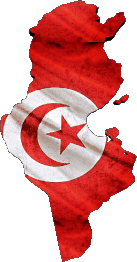 Carte Tunisie Afrique Drapeaux 