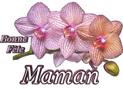 05 Bonne Fête Maman Français Messages 