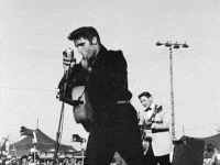 Elvis Presley Rock USA Musik Multimedia 