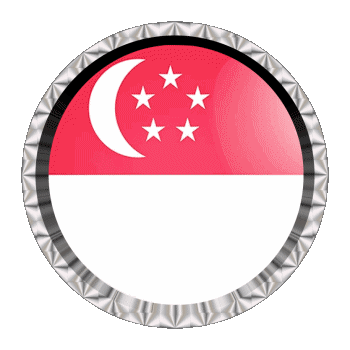 Rond - Anneaux Singapour Asie Drapeaux 