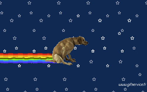 03 Dogs Animals Humor -  Fun 