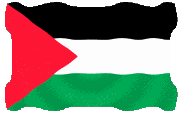 Ondulation Palestine Asie Drapeaux 