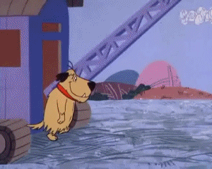 Motors Race Video GIF - 07 Wacky Races Cartoons TV Filme Multimedia 