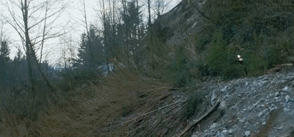 Video First blood Rambo Cinéma International Multi Média 