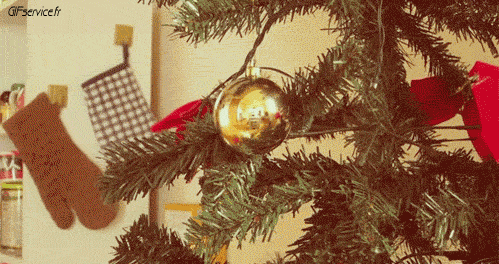 Serie 05 Chats Animaux Humour - Fun 