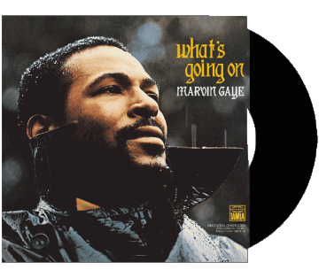 What s going on-What s going on Marvin Gaye M 80' International Compilation Music Multi Media 