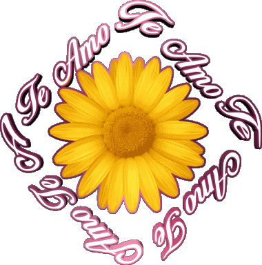 02 Te Amo Español Mensajes 