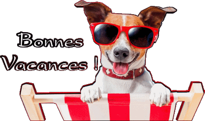 03 Sfondo trasparente Bonnes Vacances Francese Messagi 