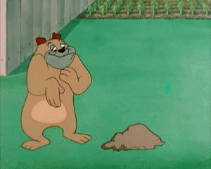 Garden Gopher Tex Avery Dessins Animés TV Cinéma Multi Média 