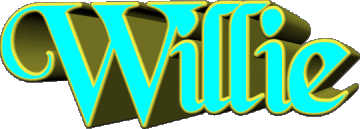 Willie W MASCULINO - UK - USA - IRL - AUS - NZ Nombre 