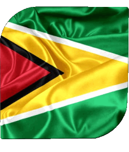 Square Guyana America Flags 